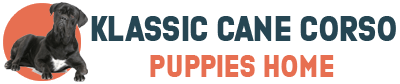 Klassic Cane Corso Puppies Home